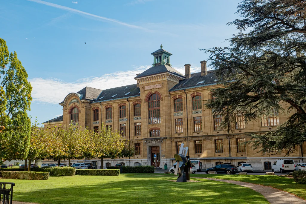 Calm, focused study environment